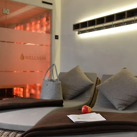 Hotel Drei Birken