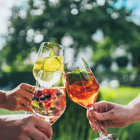 Drei Birken ホテル